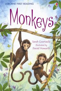 USBORNE  Monkeys