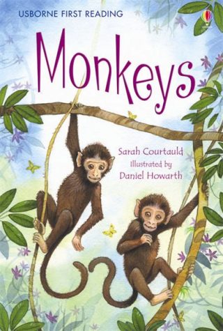 USBORNE  Monkeys