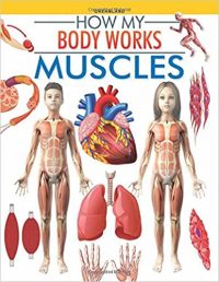 Dreamland Muscles (How My Body Works)