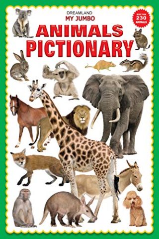 Dreamland My Jumbo Animal Pictionary