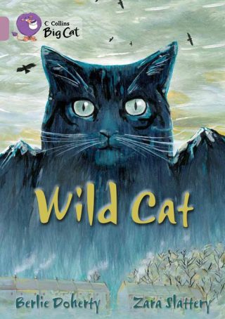 Collins Big Cat Wild Cat