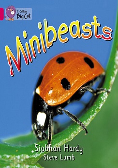 Collins Big Cat Minibeasts