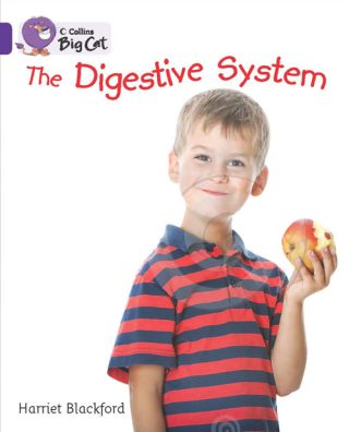 Collins Big Cat How the Body Works: The Digestive System