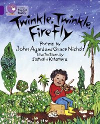 Collins Big Cat Twinkle, Twinkle, Firefly