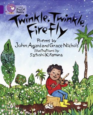 Collins Big Cat Twinkle, Twinkle, Firefly