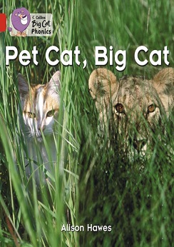 Collins Big Cat Pet Cat, Big Cat