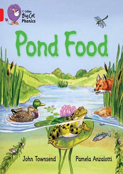 Collins Big Cat Pond Food