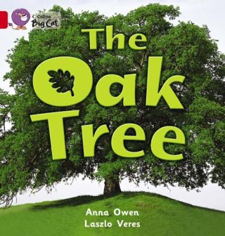Collins Big Cat The Oak Tree