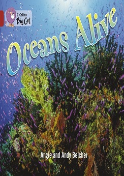 Collins Big Cat Oceans Alive
