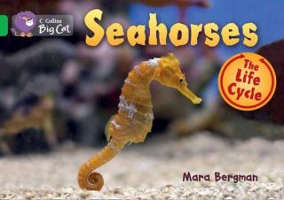 Collins Big Cat Seahorses