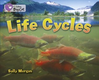 Collins Big Cat Life Cycles