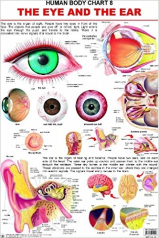 Dreamland The Eye & the Ear