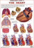 Dreamland The Heart