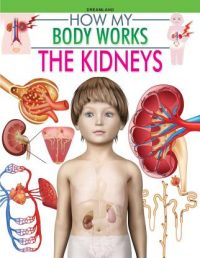 Dreamland The Kidneys (How My Body Works)