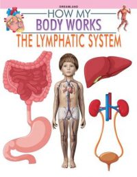Dreamland The Lymphatic System (How My Body Works)