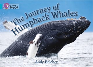 Collins Big Cat The journey of Humpback Whales