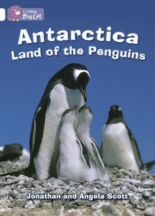 Collins Big Cat Antartica: Land of the Penguins