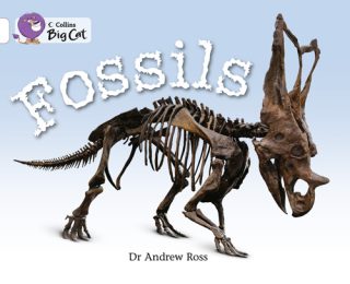 Collins Big Cat Fossils