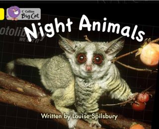 Collins Big Cat Night Animals