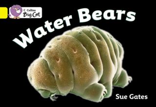 Collins Big Cat Water Bears