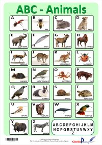 Chelis Publication Animals Chart