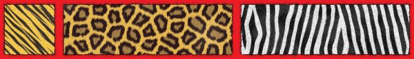 Scholastic Safari Border With Corners Trimmer