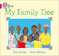 Collins Big Cat My Family Tree